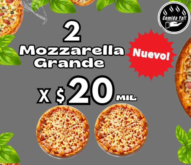 PROMO - 2 PIZZAS DE MOZZARELLA