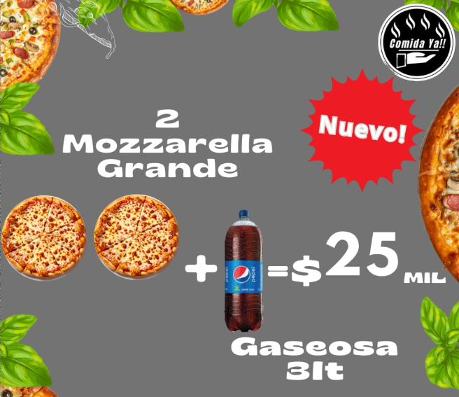 PROMO - 2 MOZZARELLA GRANDE + GASEOSA GRANDE  